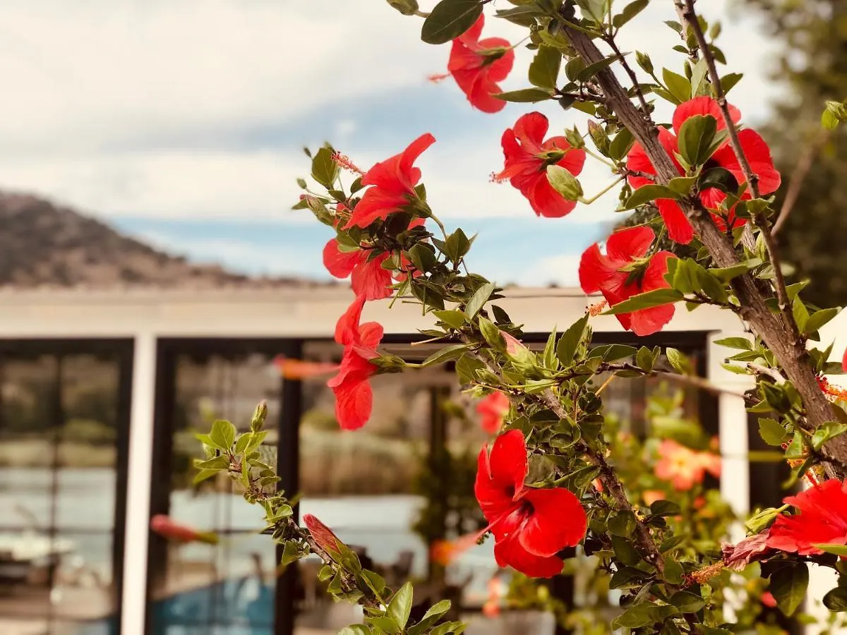 Arp Dalyan Otel 2*,