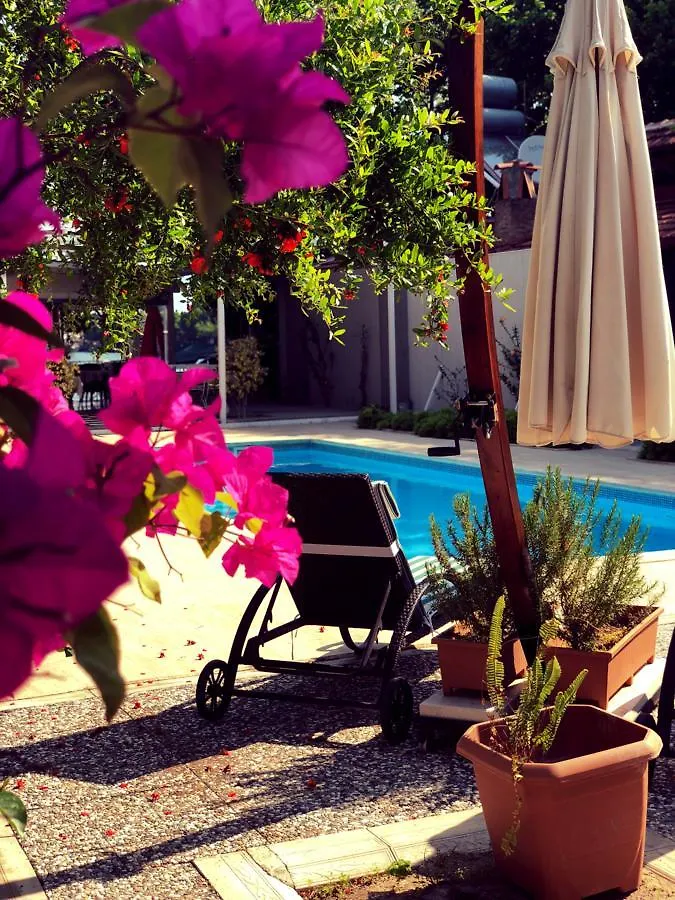 Hotel Arp Dalyan 2*,  Turchia